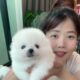 Cute Dog Collection, The World’s Cutest Puppies #dog #puppies #puppy #video #cute #cutest