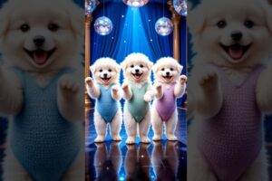 Cute puppies Crazy Dance | #funnyvideo #cutepuppy #viralshorts #dogshorts
