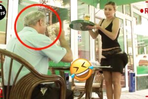 TOTAL IDIOTS AT WORK | Instant Regret Fails Compilation 2025 #239 | Best Fails of the Week