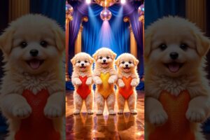 Cute puppies Crazy Dance | #funnyvideo #cutepuppy #viralshorts #dogshorts