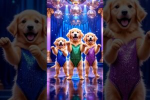 Cute puppies Crazy Dance | #funnyvideo #cutepuppy #viralshorts #dogshorts