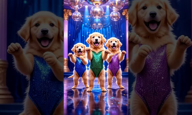 Cute puppies Crazy Dance | #funnyvideo #cutepuppy #viralshorts #dogshorts
