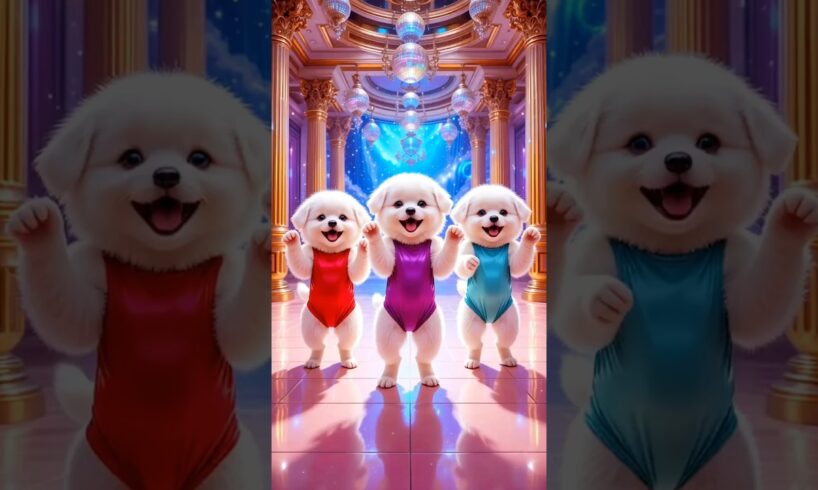 Cute puppies Crazy Dance | #funnyvideo #cutepuppy #viralshorts #dogshorts
