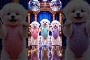 Cute puppies Crazy Dance | #funnyvideo #cutepuppy #viralshorts #dogshorts