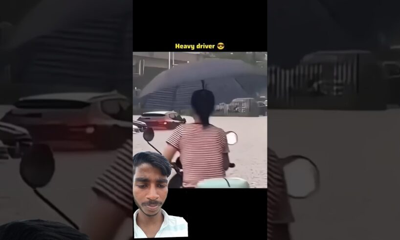 Duckling saves seriously injured cat#DuckRescue#CuteAnimals#Animal Rescue‎⁨@MjsVlog2.0⁩ 