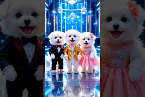 Cute puppies Crazy Dance | #funnyvideo #cutepuppy #viralshorts #dogshorts #trending #ep26