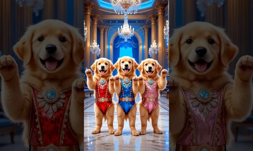 Cute puppies Crazy Dance | #funnyvideo #cutepuppy #viralshorts #dogshorts #trending #ep27
