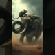 4 Fiercest Animal Fights! #shorts #crazy #shortvideo
