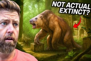 4 MORE Extinct Animals That I Believe Could Still Be Alive...