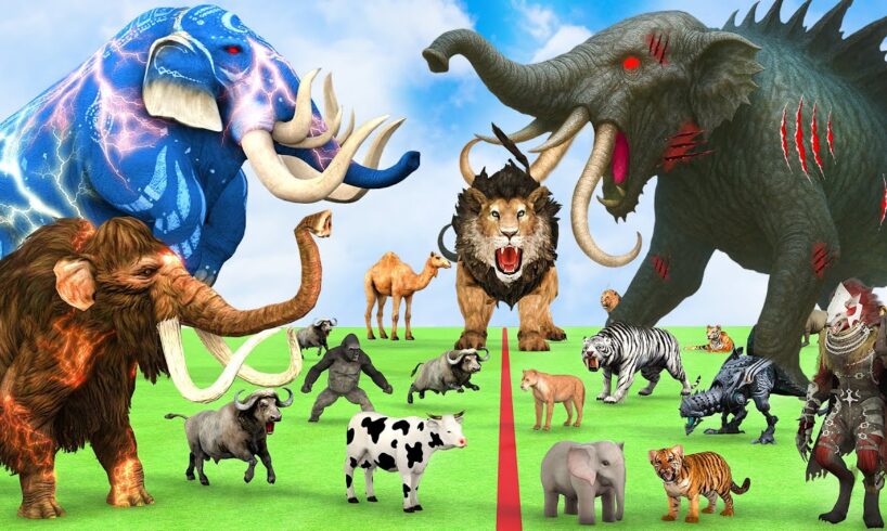 5 Giant Elephant Cow Vs Giant Angry Indian Elephant Vs 5 Giant Lion Tiger Cub Saved By Wolly Mammoth
