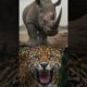 “5 Savage Animal Fights – Final Winner Will Shock You! ⚔️” #epicbattle