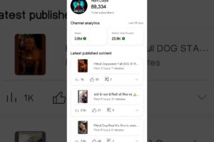 89K Subscribe Complete || #pitbull #facts #dog #pitbull #shorts #yt #pitbulldog #abhiloiya #dogs