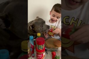 A Tribute To A Boy And His Very Best Friend ❤️ | The Dodo
