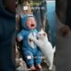 A cat rescued a child 🐈#viralvideo #shortsvide #shortsfeed #trendingshorts