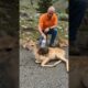 A kind-hearted man helped a deer with fawns by the road #animals