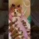Adorable Corgi Mom Nursing Her 10 Tiny Puppies | Heartwarming Corgi Puppy Moment