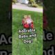 Adorable Puppy And Little Girl Nap in Wagon #Puppy #Cute