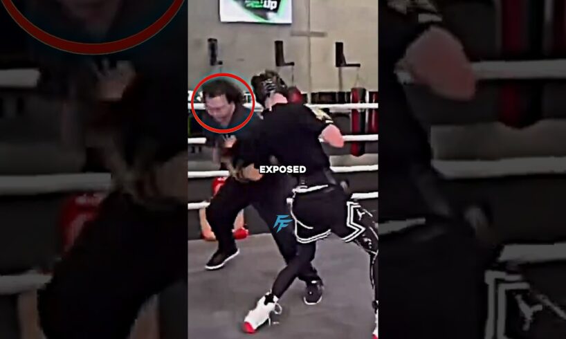 Amateur Boxer INSTANTLY KO’s Undefeated Street Fighter