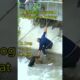 Animals Saved From The Water