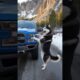 Animals Warning to Humans #animals #rescue #dog