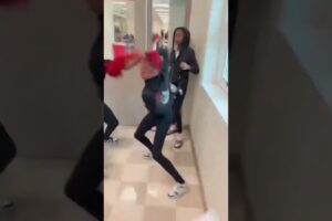 Another Hood Girl Fight