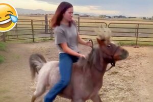 BEST OF THE WEEK #22 - Funniest Fails of the Week
