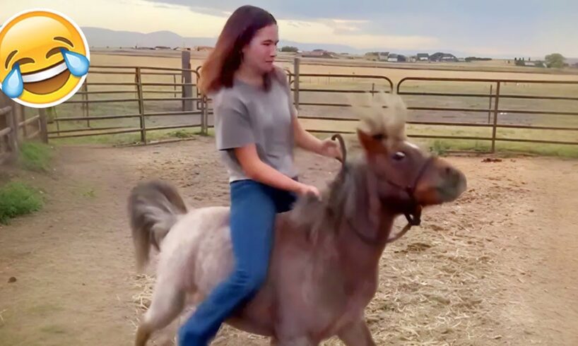 BEST OF THE WEEK #22 - Funniest Fails of the Week