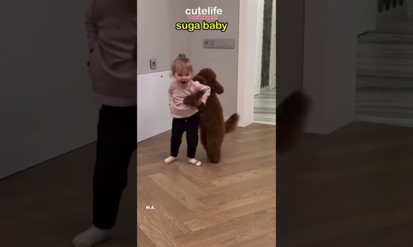 BTS FUTURE Kid with dog,s🐶  @CuteLife  #shorts