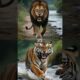 Bengal tiger vs Wild Animals (Cheetah, Lion, elephant, rhinoceros), who wins?#animals #shorts