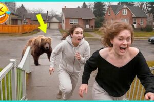 Best fails of the week 😂Fails #104 - People Being Idiots | 🤣 Try Not to Laugh - By Comedy Craze