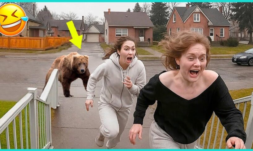 Best fails of the week 😂Fails #104 - People Being Idiots | 🤣 Try Not to Laugh - By Comedy Craze