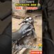 Bhai's Near-Death Experience on the Road #viral #shorts
