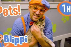 Blippi Takes Care Of Cute Animals in the Shelter! | 1 HOUR BEST OF BLIPPI | Blippi Toys