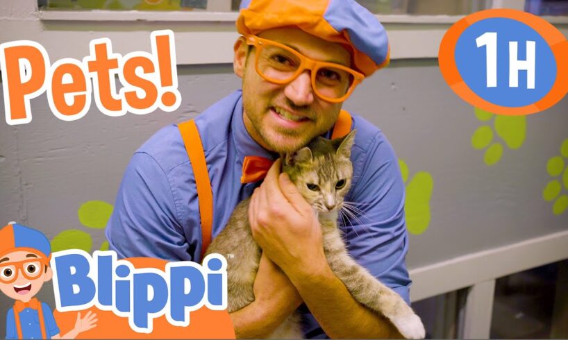 Blippi Takes Care Of Cute Animals in the Shelter! | 1 HOUR BEST OF BLIPPI | Blippi Toys