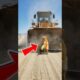 Brave Golden Retriever Saves a Wheel Loader Operator #dog #goldenretriever #rescue