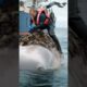 Brave Sailors Clean and Rescue a Whale in Distress | Inspiring Ocean Mission