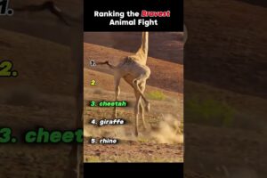"Bravest Animal Fights Ever Caught on Camera!" #animals #wildlife #shorts