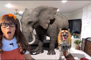 Carnivore, Herbivore and Omnivore Safari Animals for Kids | Soso's Animal Toys Come to Life!