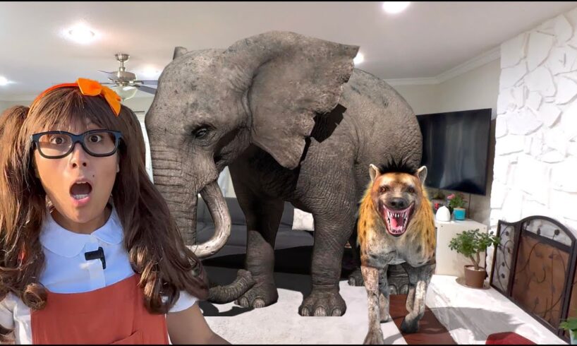 Carnivore, Herbivore and Omnivore Safari Animals for Kids | Soso's Animal Toys Come to Life!