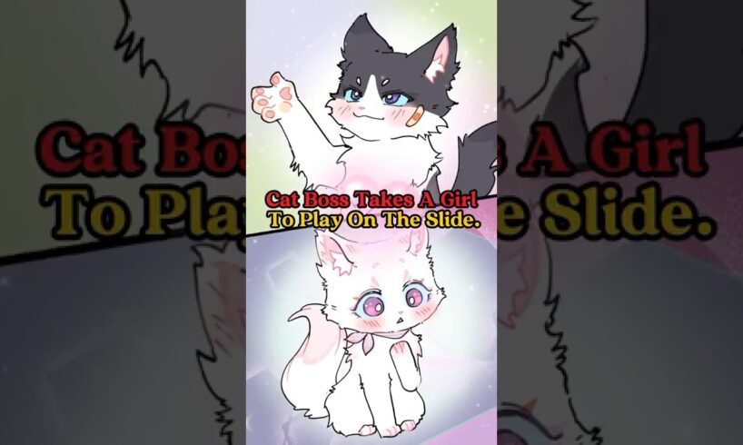 Cat Boss Takes A Girl To Play On The Slide. #cat #dog  #animals #animation