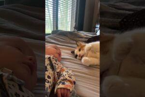 Cat Welcomes Newborn Baby 🐱👶🏻