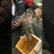 Cat trapped inside 😥 Wait For the End | Cat rescue cute cat kitten  #cats #catvideos  #dog #shorts