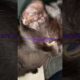 Cats are Awesome and People Still Suck Subscribe #piper #cat