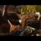 Chaoumin making in mela street food loves you