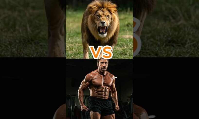 Chuck Norris vs Lion, Elephant & More | Insane Animal Battles! 🤖💥