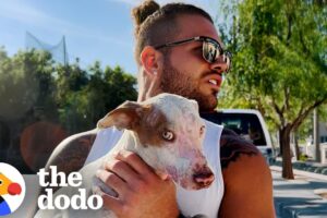 Couple Rescues Intentionally Burned Dog And Earns Her Trust | The Dodo