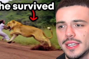 Craziest Animal Encounters of All Time..