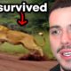 Craziest Animal Encounters of All Time..