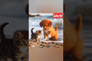 Cute [Puppies And Kittens] In Heartwarming Play