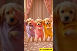 Cute Puppies Crazy Dance💃🤩| #funnyvideo #cutepuppy #cartoon #funnyanimals #viraldance #3